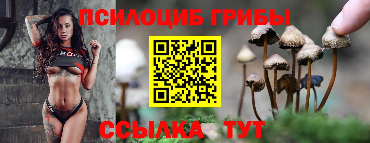 Галлюциногенные грибы Magic Shrooms Магадан